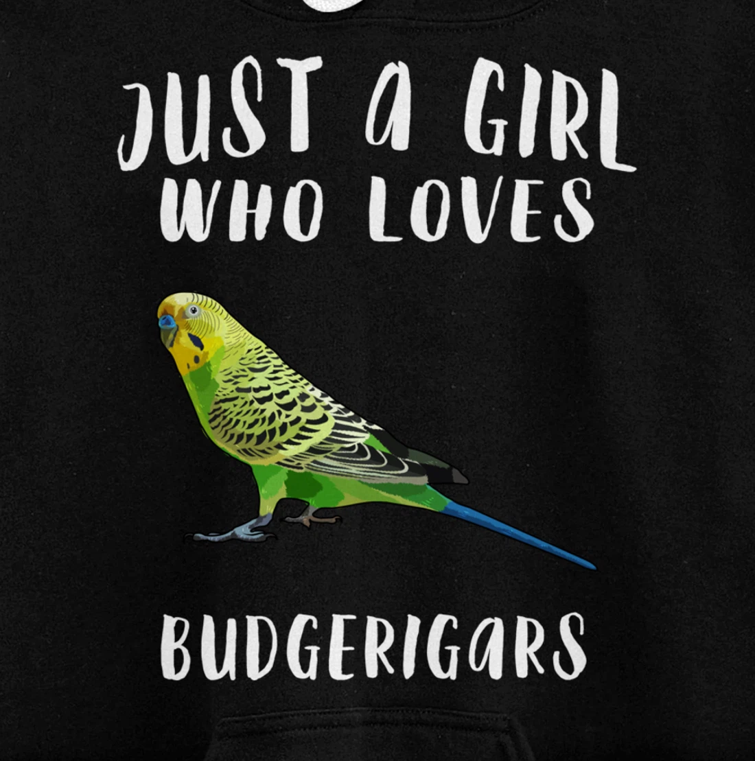 Just A Girl Who Loves Budgerigar Bird Lover Gift Pullover Hoodie