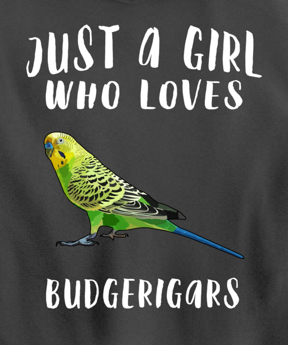 Just A Girl Who Loves Budgerigar Bird Lover Gift Pullover Hoodie