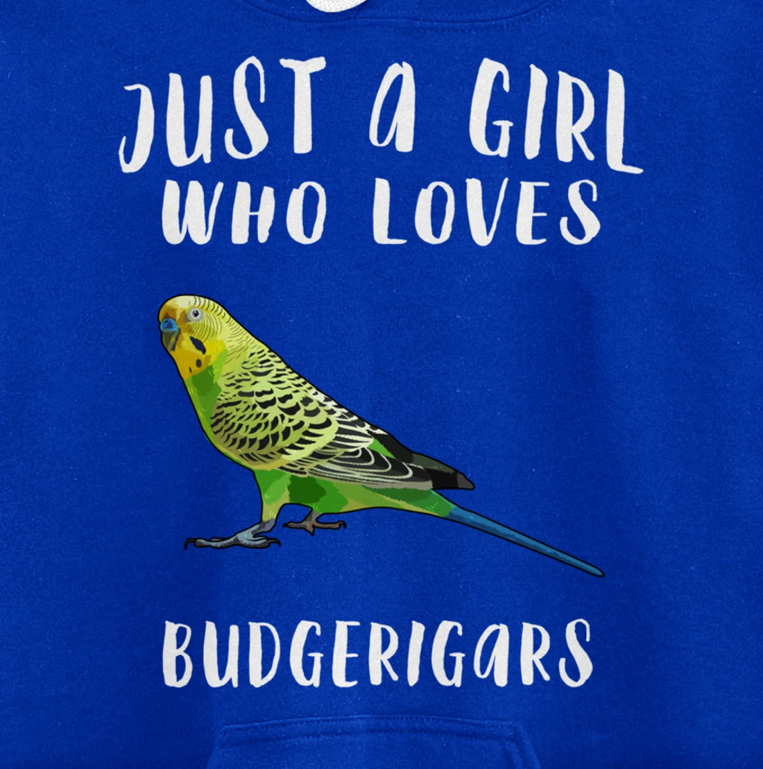 Just A Girl Who Loves Budgerigar Bird Lover Gift Pullover Hoodie