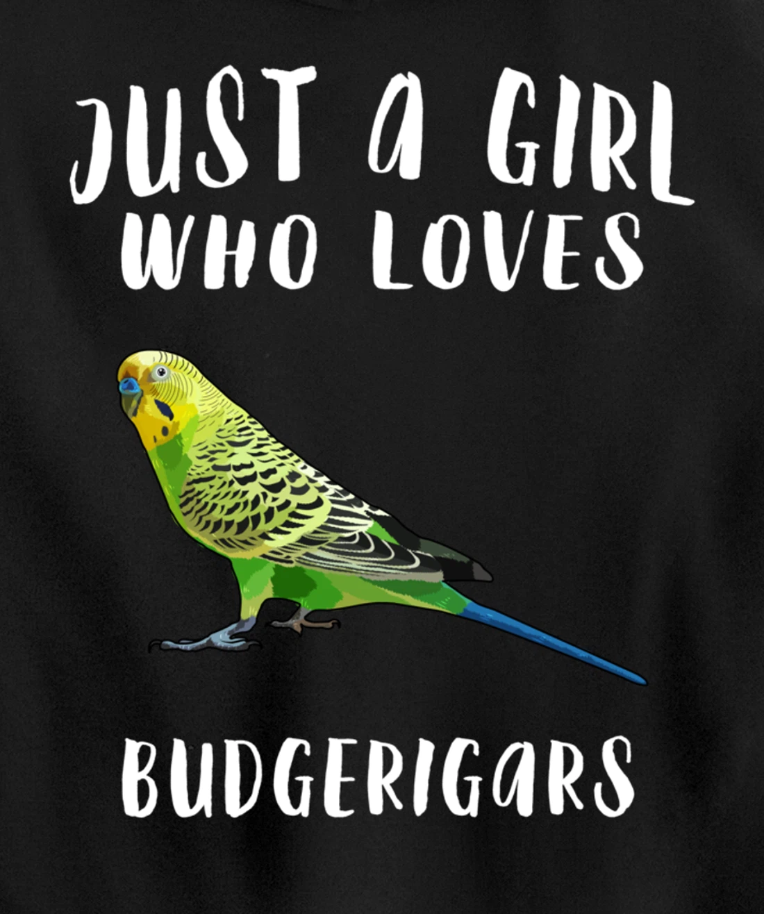 Just A Girl Who Loves Budgerigar Bird Lover Gift Pullover Hoodie
