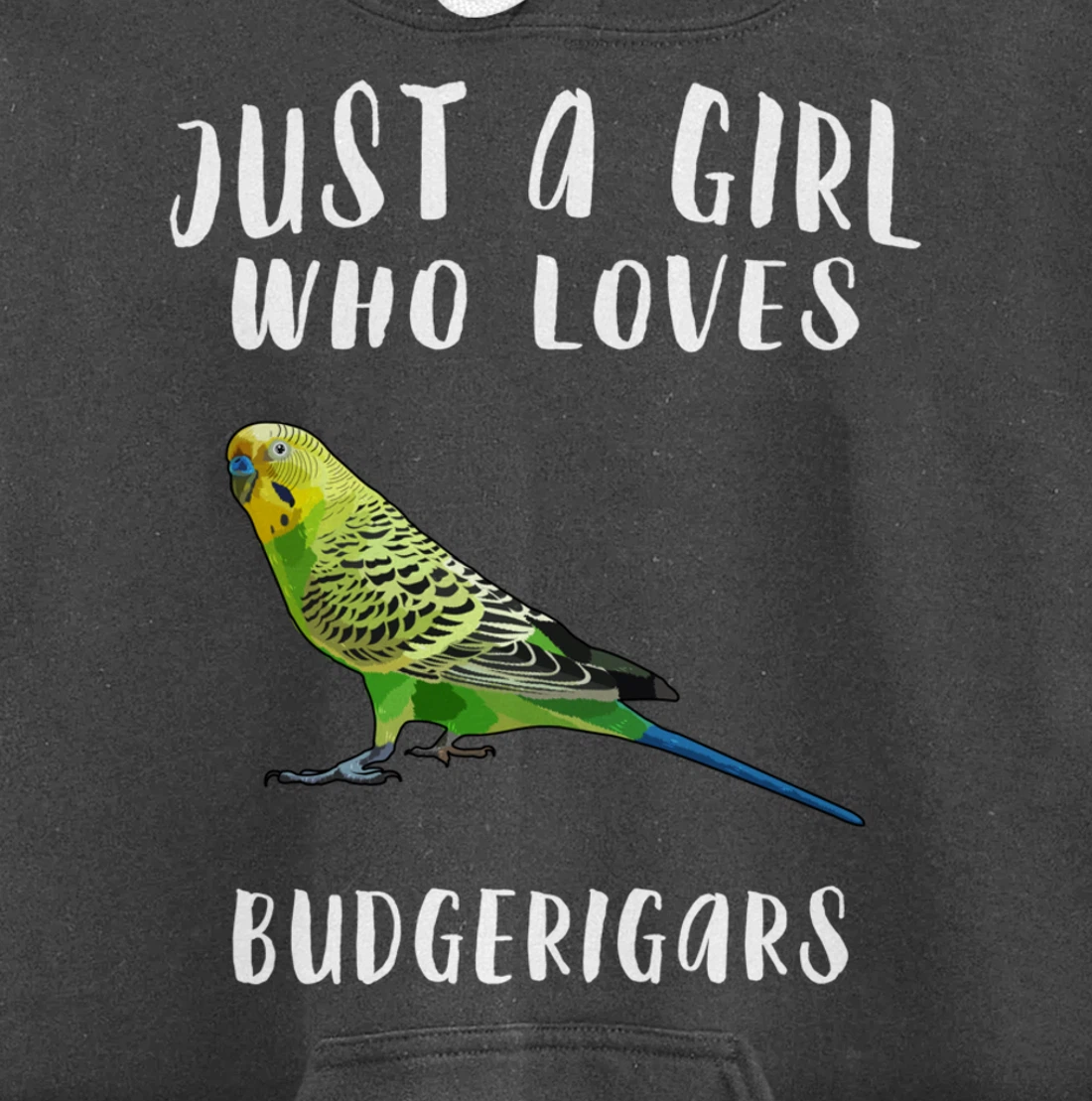 Just A Girl Who Loves Budgerigar Bird Lover Gift Pullover Hoodie