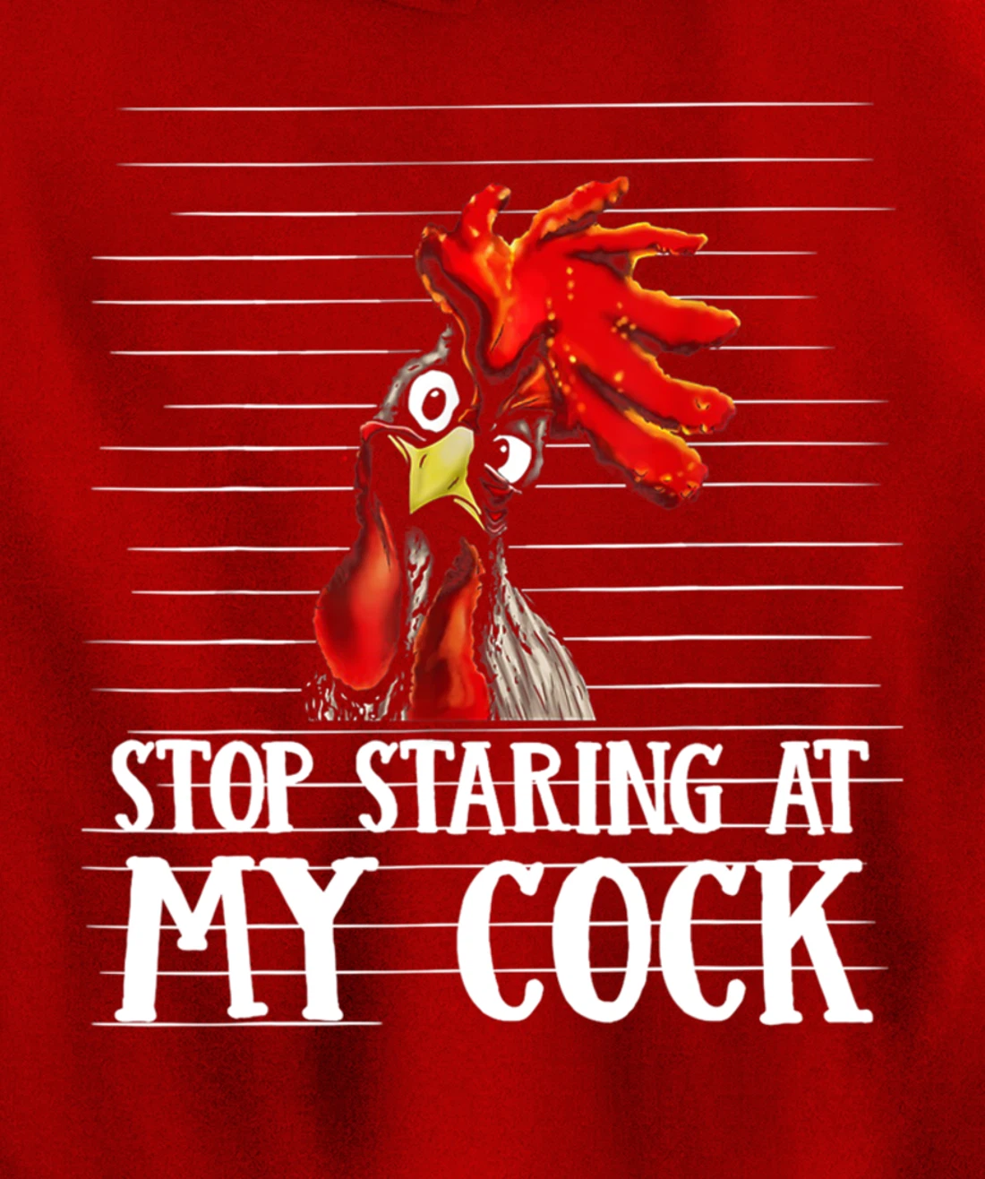 Funny Stop Staring At My Cock Pullover Hoodie