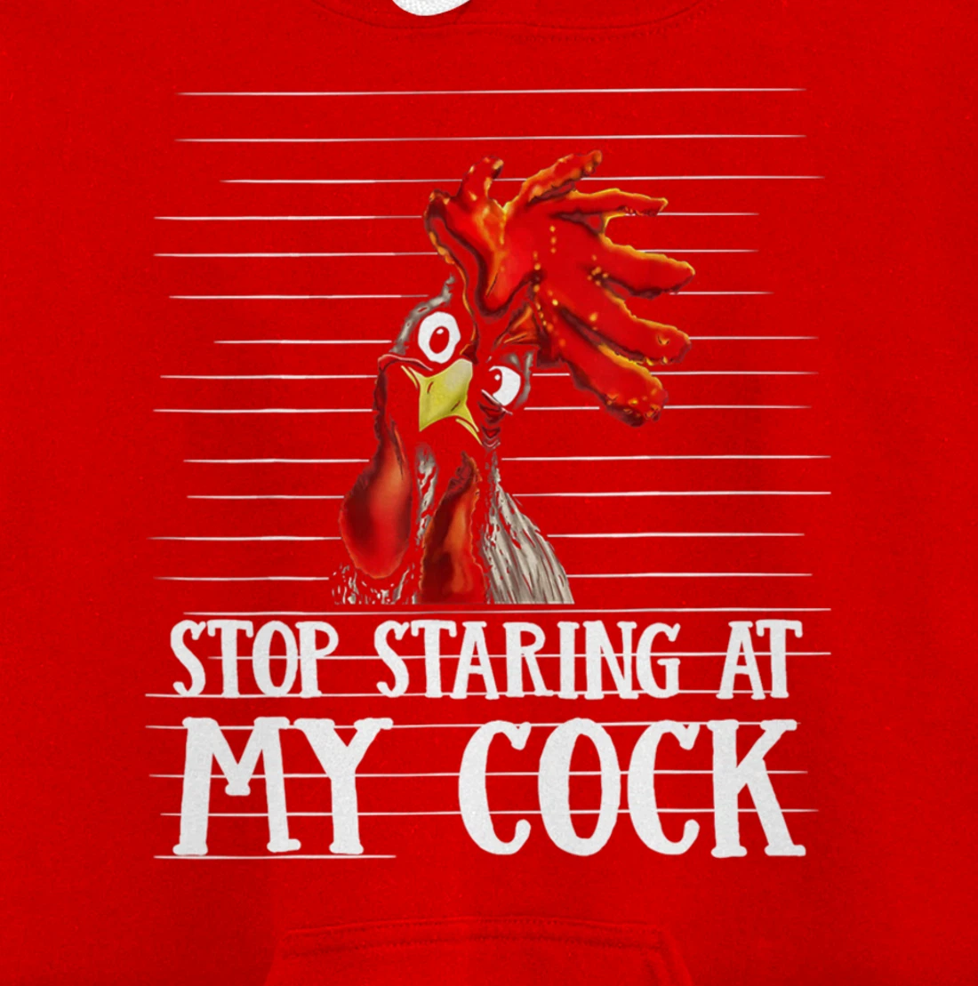 Funny Stop Staring At My Cock Pullover Hoodie