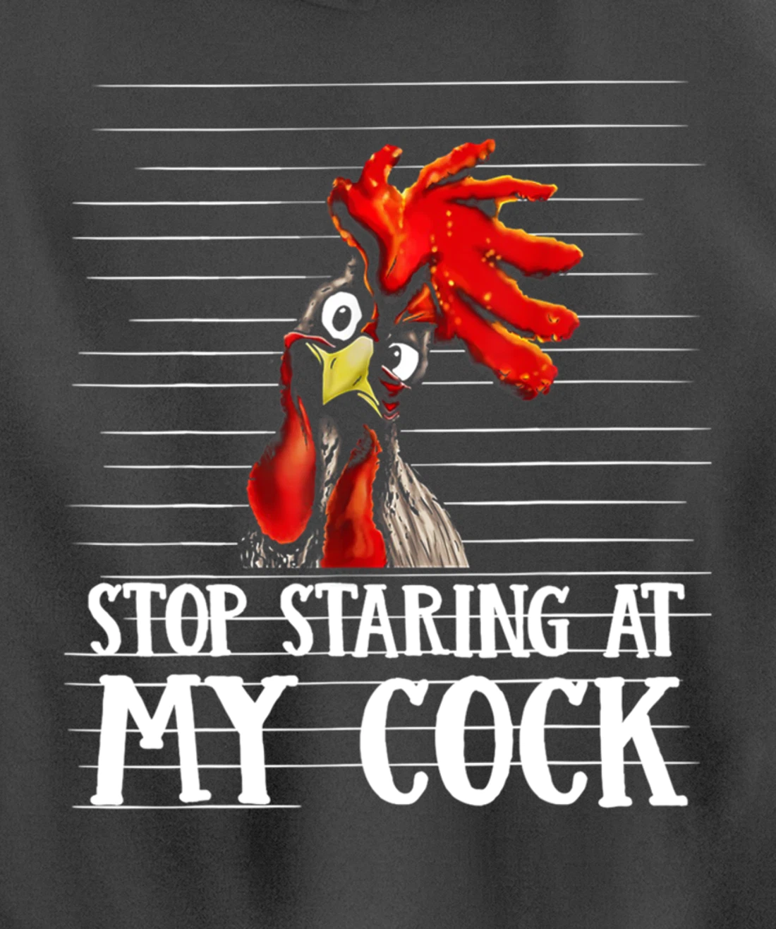 Funny Stop Staring At My Cock Pullover Hoodie