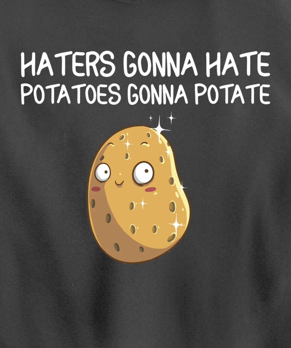 Funny Haters Gonna Hate Gift For Men Women Potato Lovers Pullover Hoodie