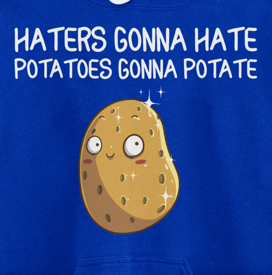 Funny Haters Gonna Hate Gift For Men Women Potato Lovers Pullover Hoodie