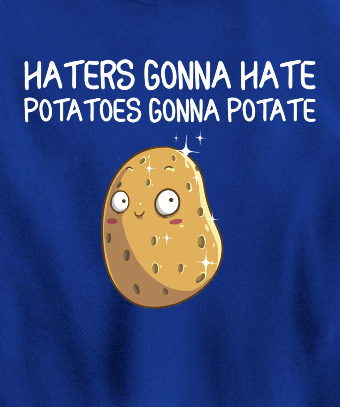 Funny Haters Gonna Hate Gift For Men Women Potato Lovers Pullover Hoodie