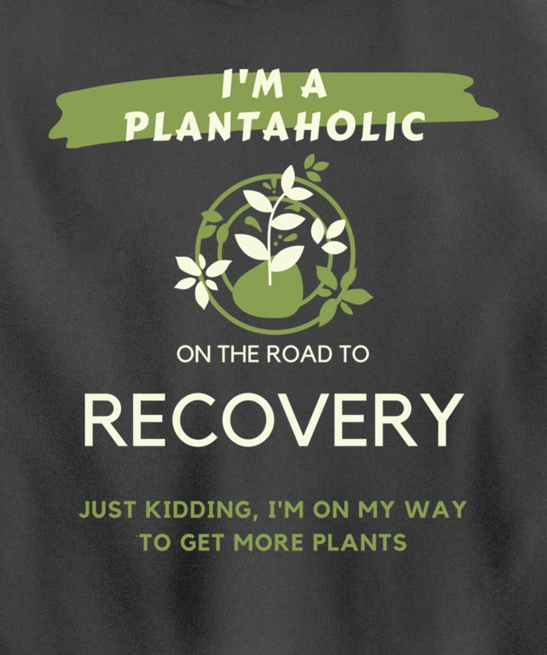Plantaholic Gift I Am A Plantaholic On The Road To Recover Pullover Hoodie