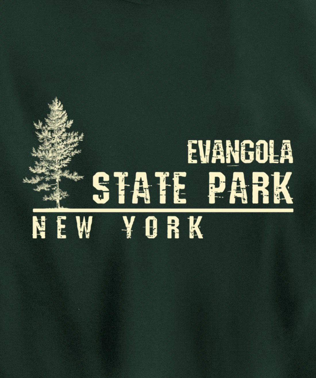 NY Souvenir Gift for Evangola State Park Pullover Hoodie