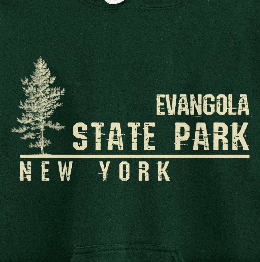 NY Souvenir Gift for Evangola State Park Pullover Hoodie