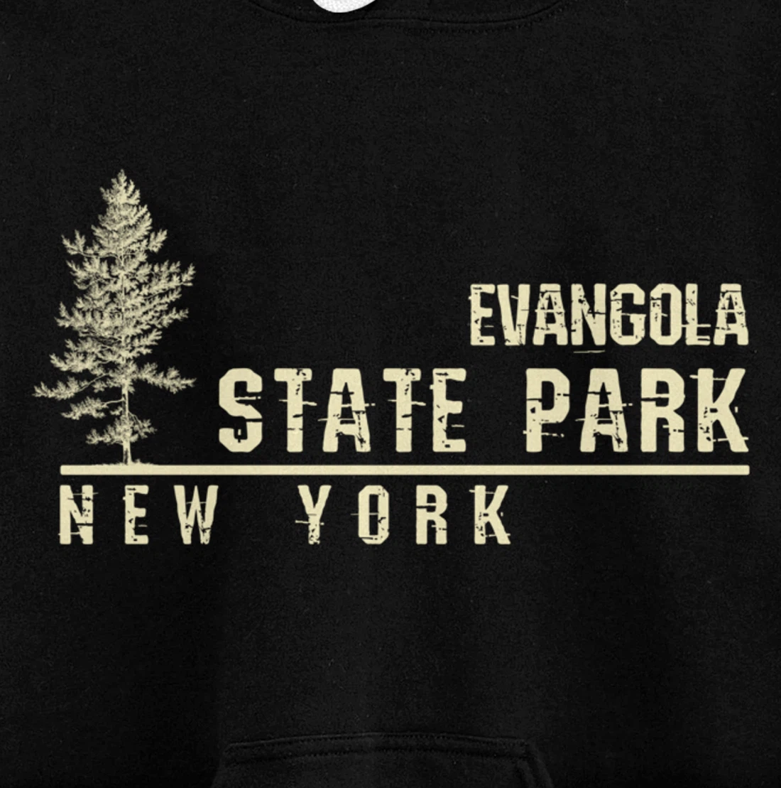 NY Souvenir Gift for Evangola State Park Pullover Hoodie