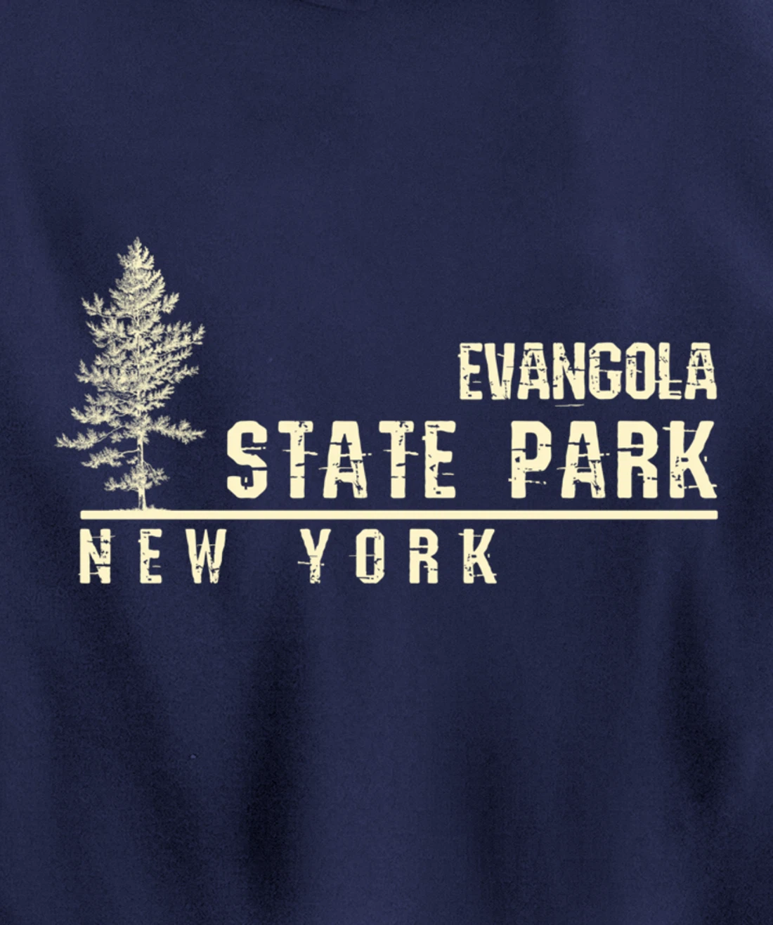 NY Souvenir Gift for Evangola State Park Pullover Hoodie