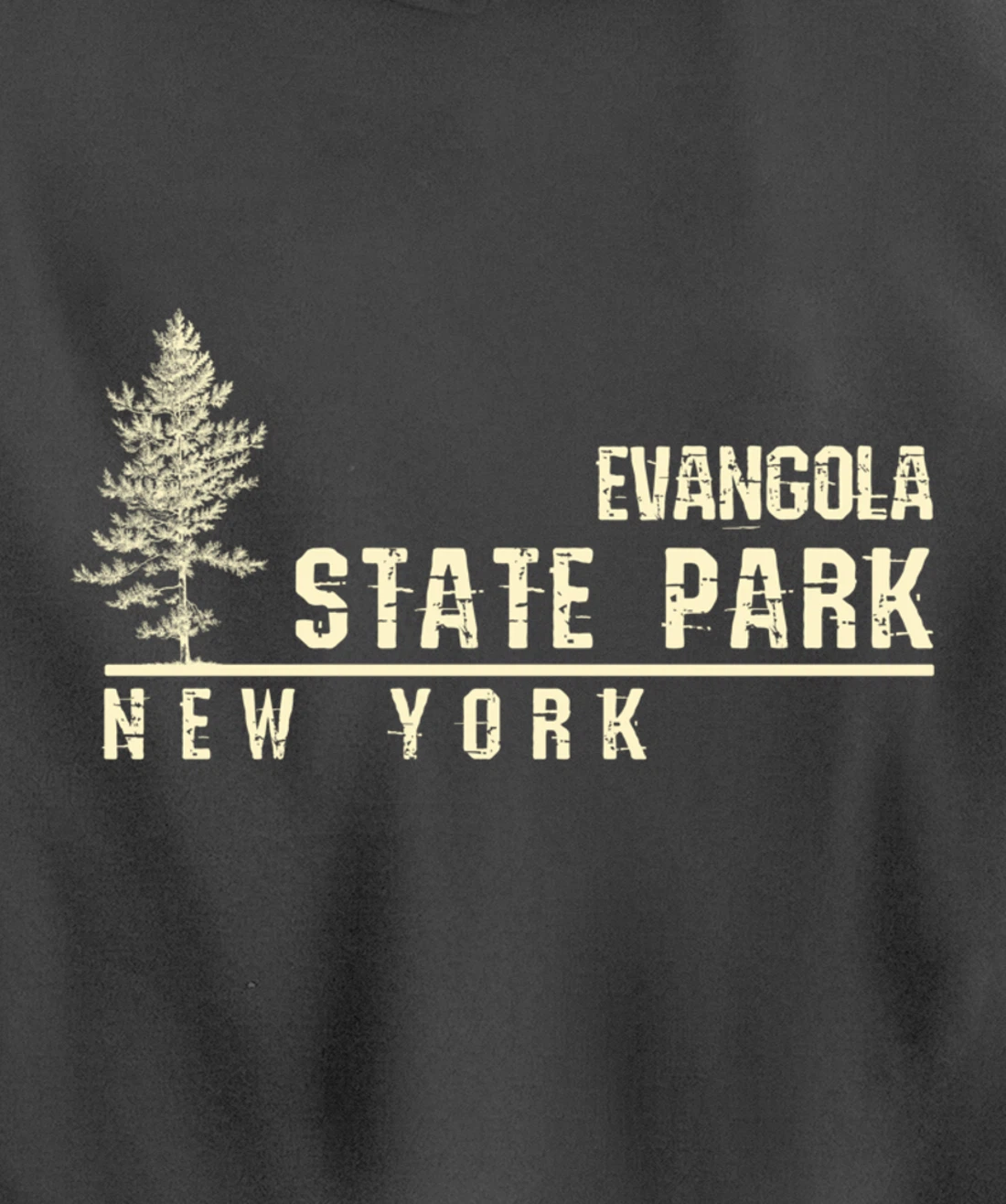 NY Souvenir Gift for Evangola State Park Pullover Hoodie