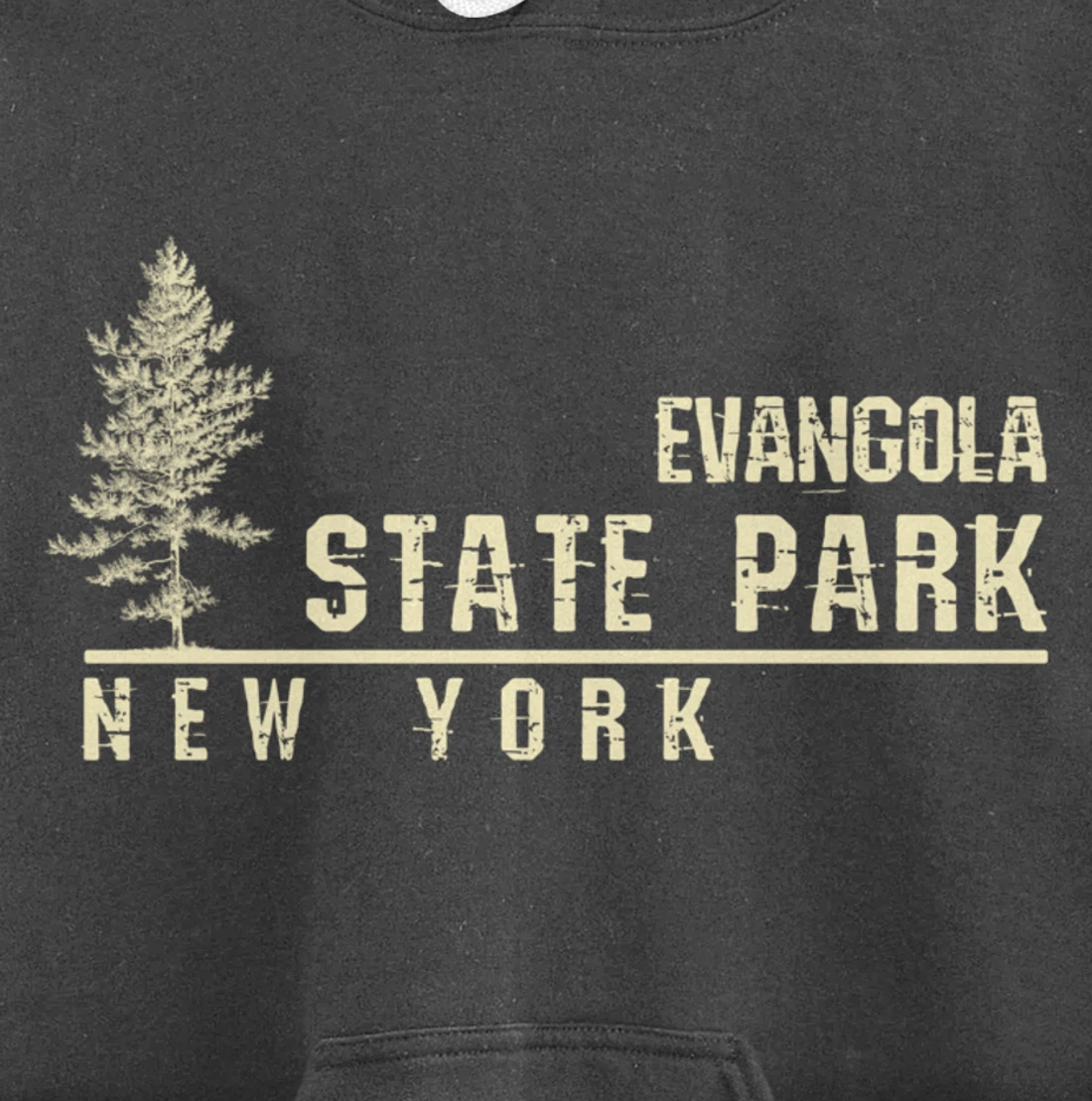 NY Souvenir Gift for Evangola State Park Pullover Hoodie