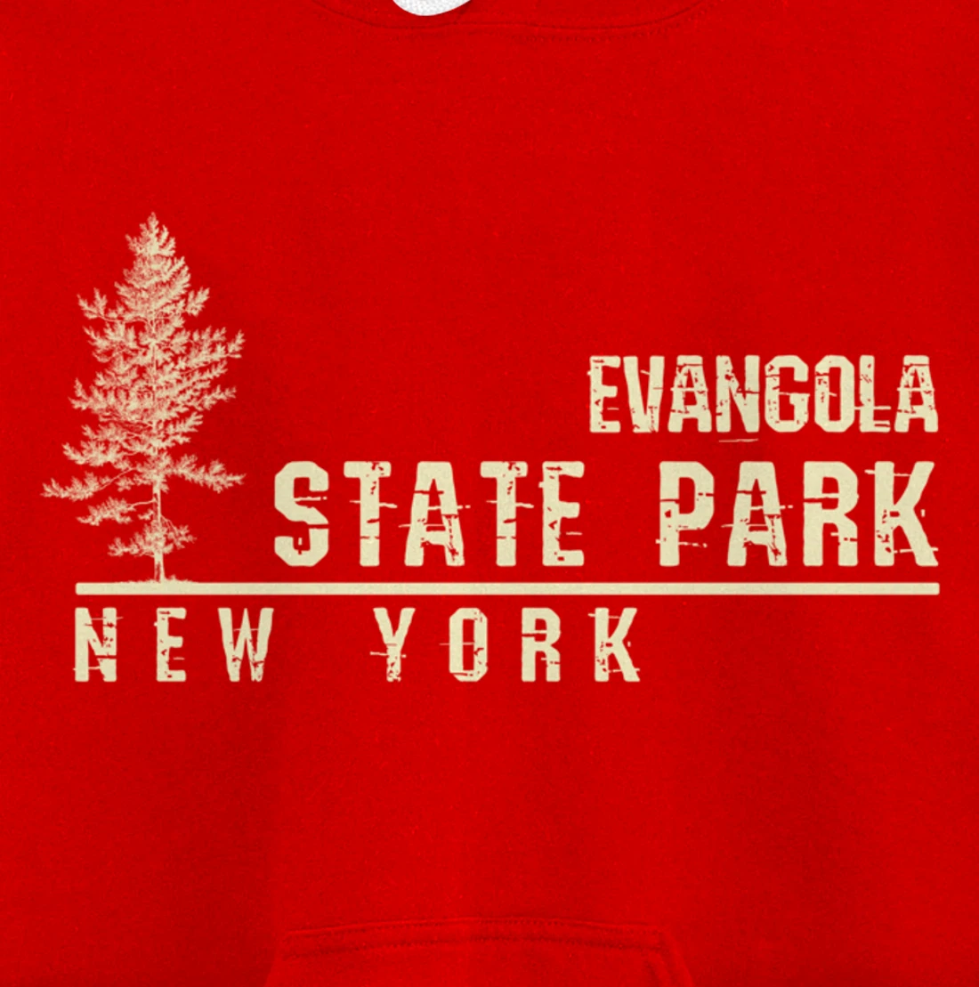 NY Souvenir Gift for Evangola State Park Pullover Hoodie