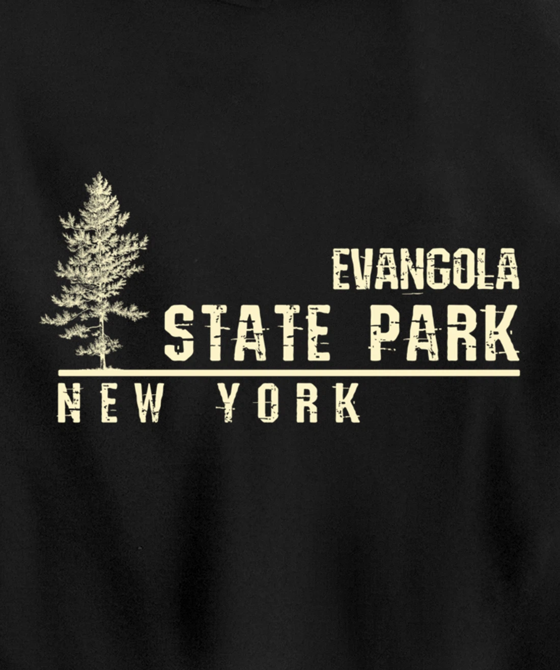 NY Souvenir Gift for Evangola State Park Pullover Hoodie