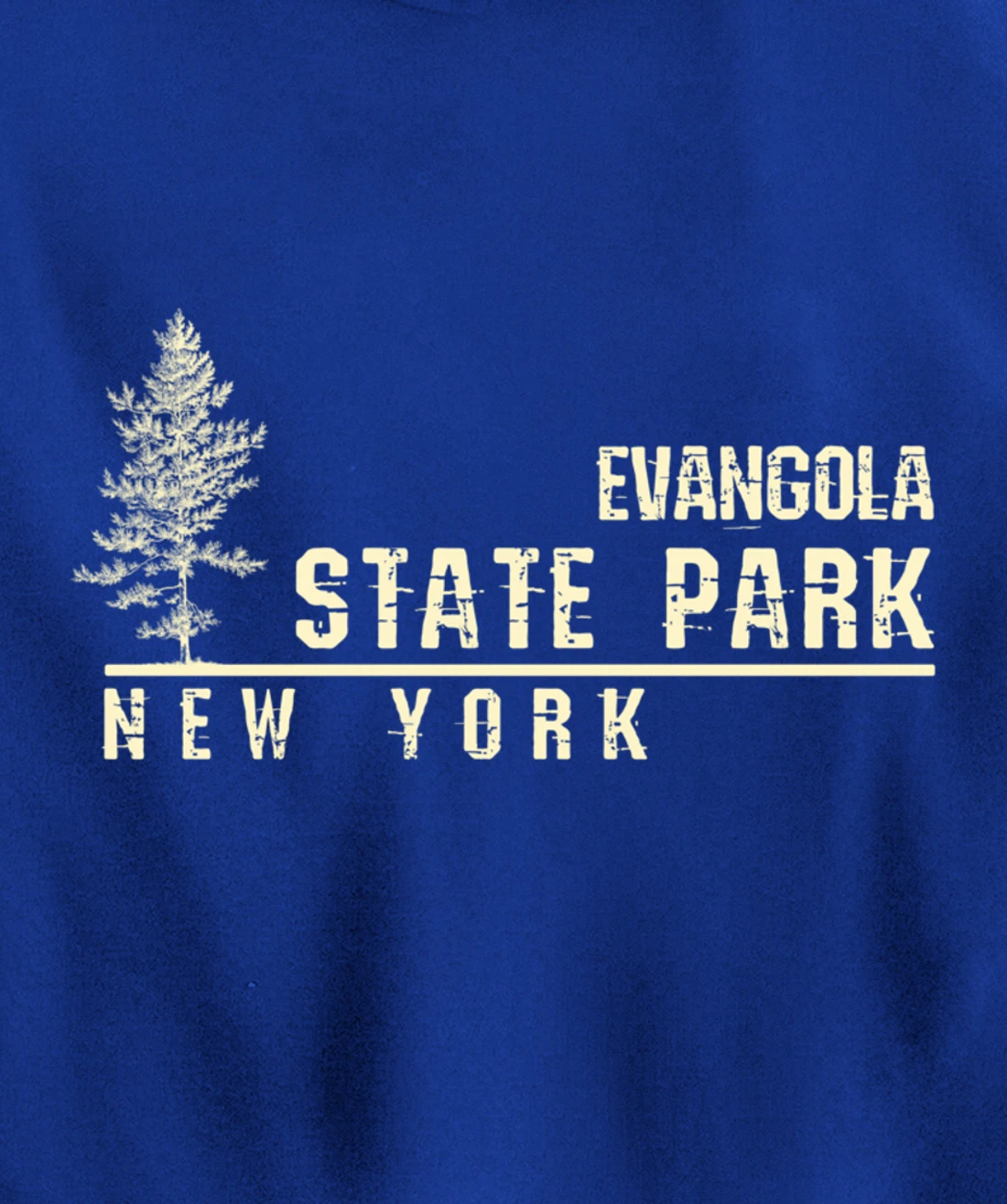 NY Souvenir Gift for Evangola State Park Pullover Hoodie