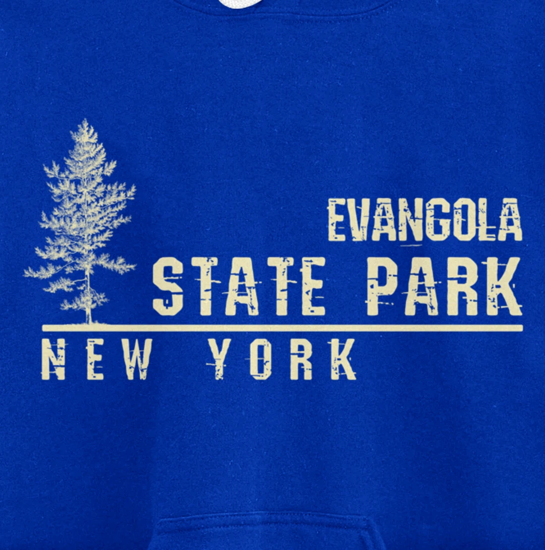 NY Souvenir Gift for Evangola State Park Pullover Hoodie