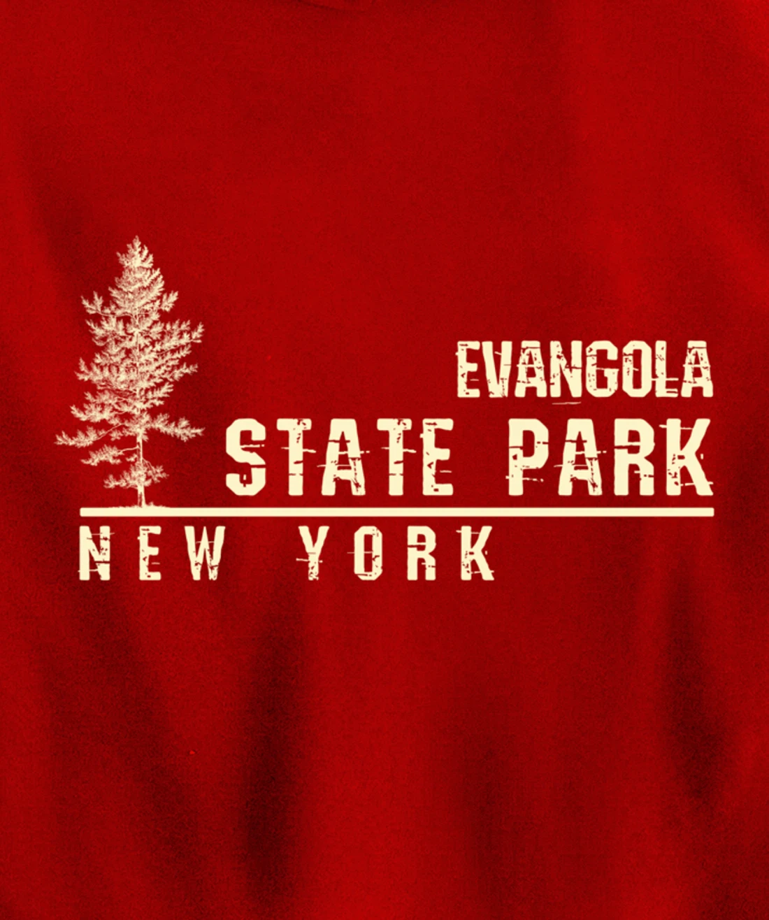 NY Souvenir Gift for Evangola State Park Pullover Hoodie