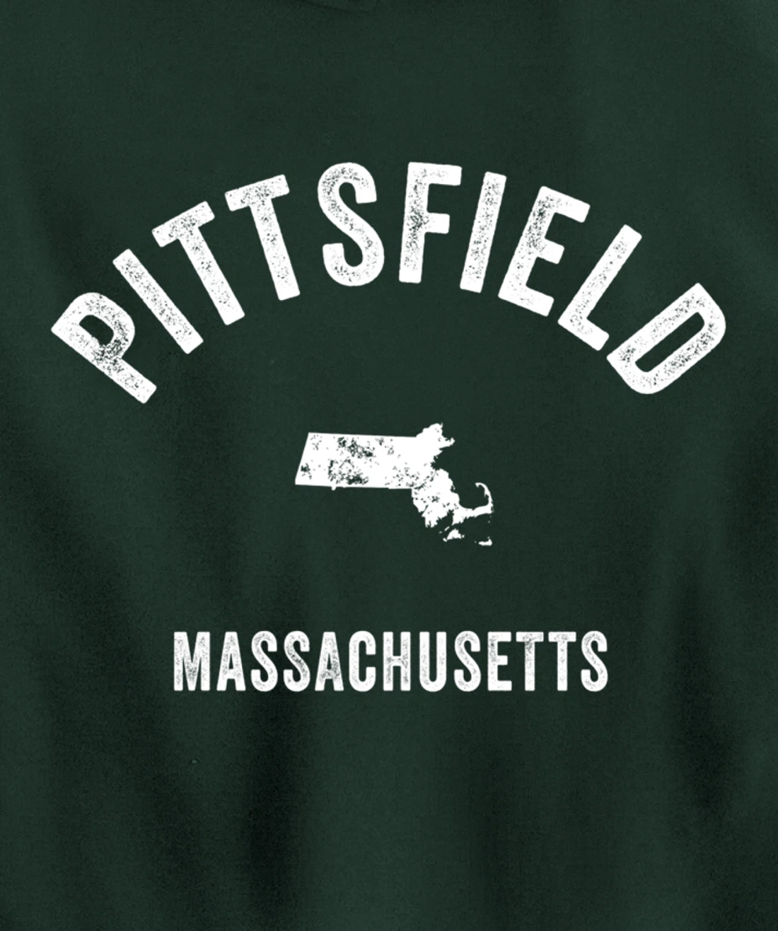 Pittsfield Massachusetts MA Vintage 70s Athletic Sports Desi Pullover Hoodie