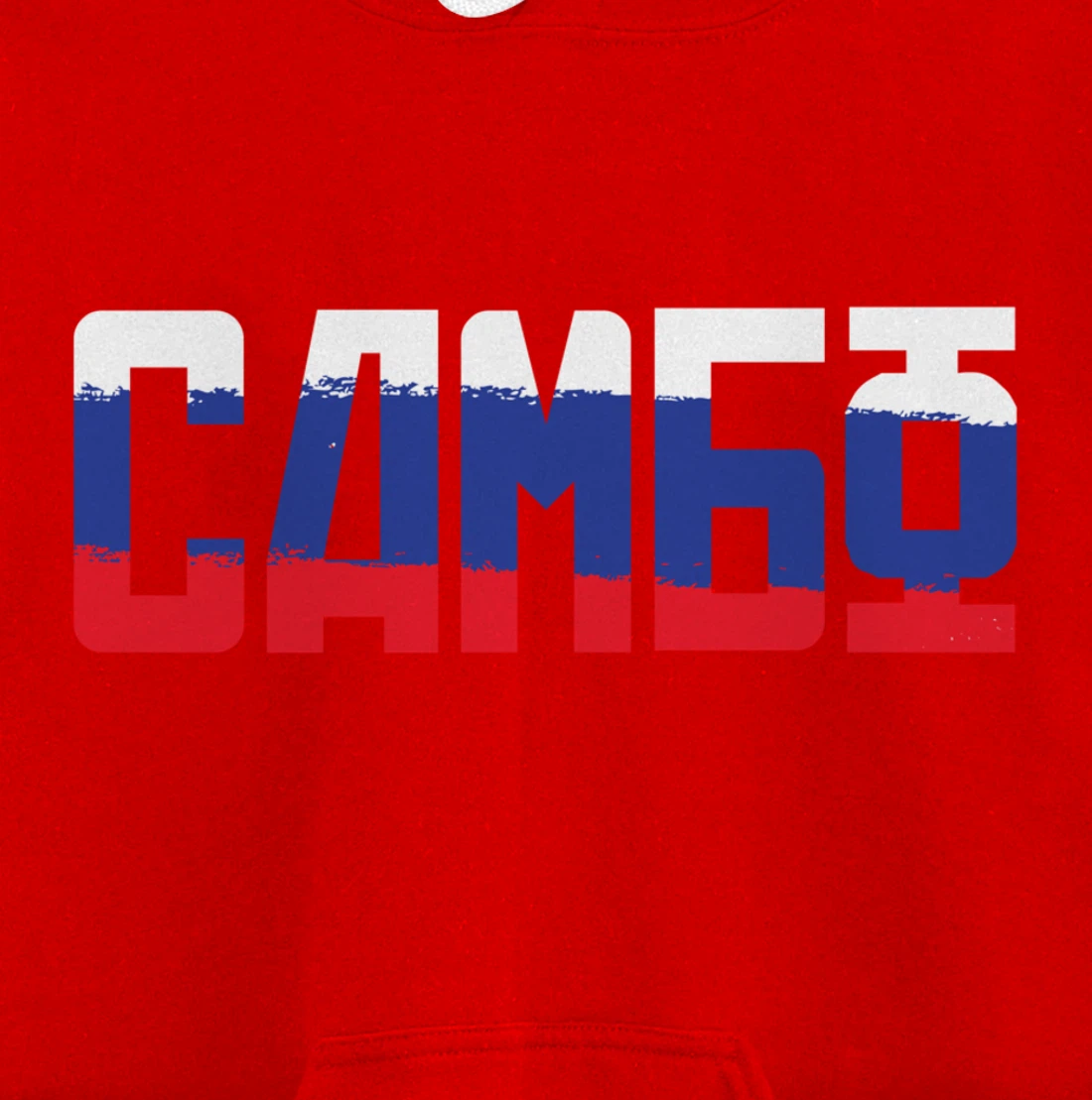 Combat sambo russian martial arts gift Pullover Hoodie