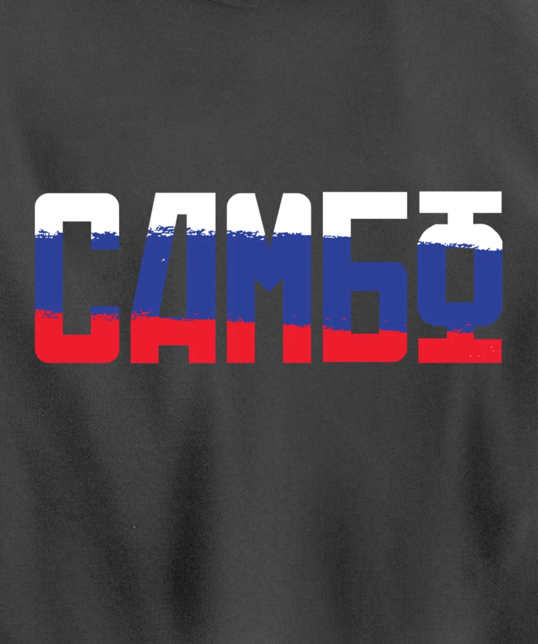 Combat sambo russian martial arts gift Pullover Hoodie