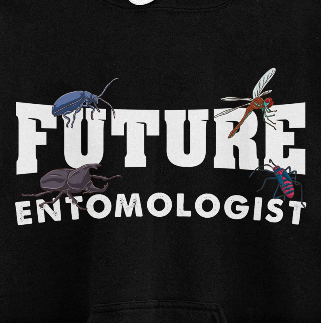 Future Entomologist Insect Lover Gift Pullover Hoodie
