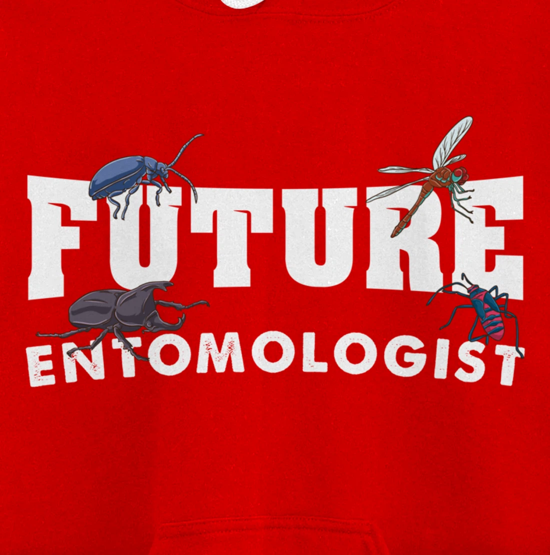 Future Entomologist Insect Lover Gift Pullover Hoodie