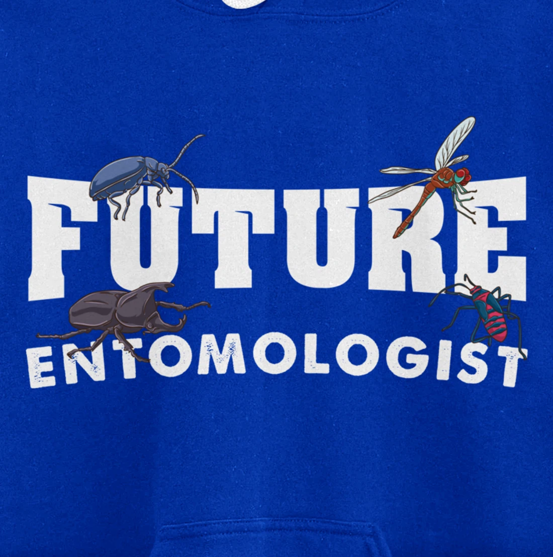 Future Entomologist Insect Lover Gift Pullover Hoodie