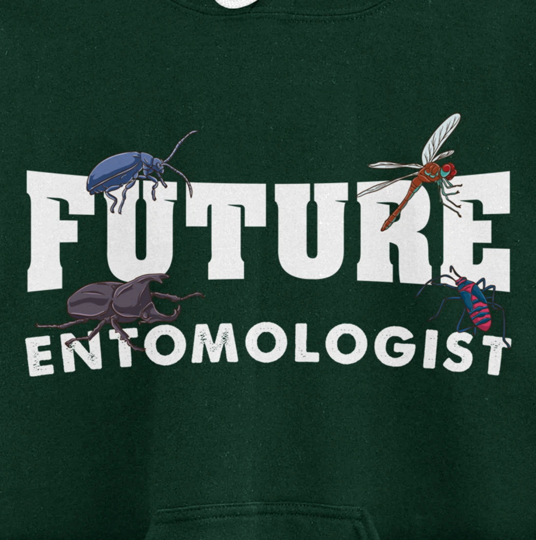 Future Entomologist Insect Lover Gift Pullover Hoodie