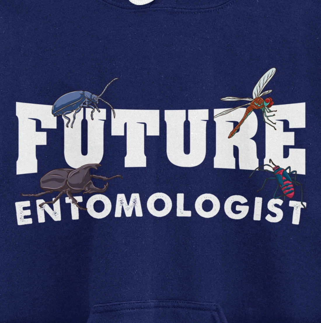 Future Entomologist Insect Lover Gift Pullover Hoodie