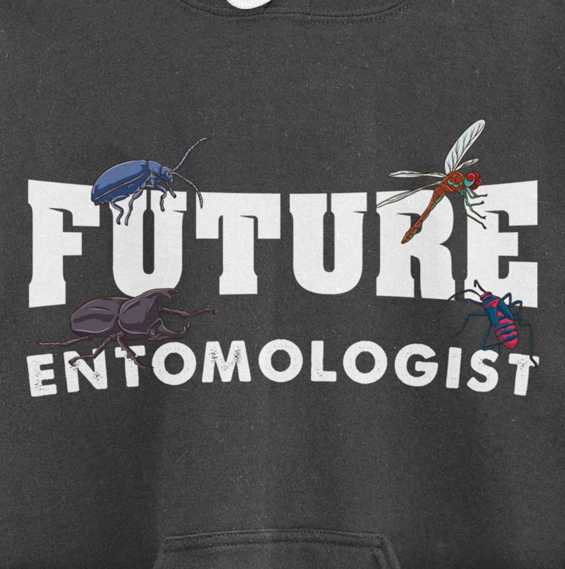 Future Entomologist Insect Lover Gift Pullover Hoodie