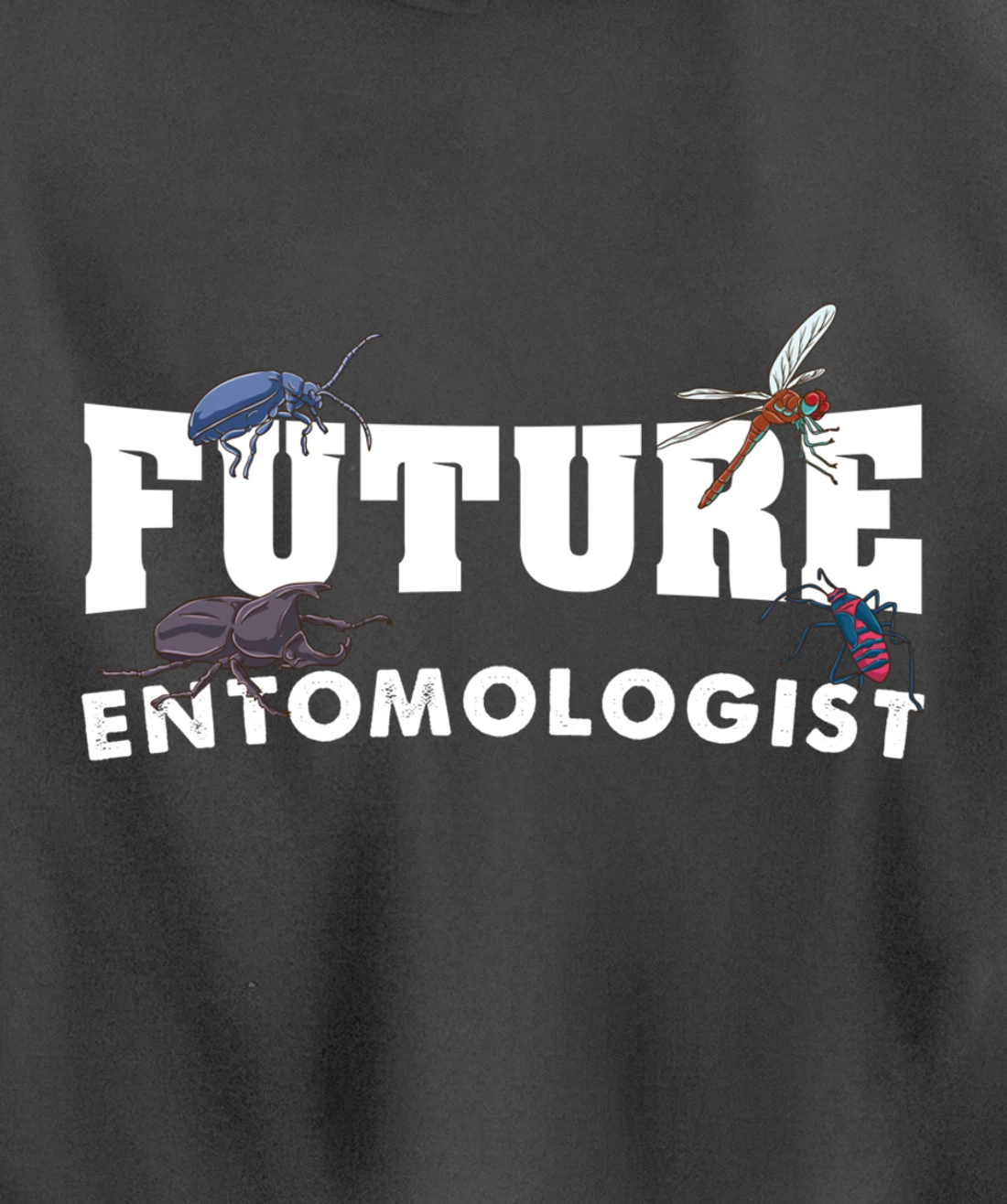 Future Entomologist Insect Lover Gift Pullover Hoodie
