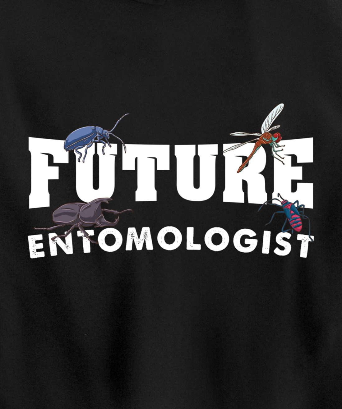 Future Entomologist Insect Lover Gift Pullover Hoodie