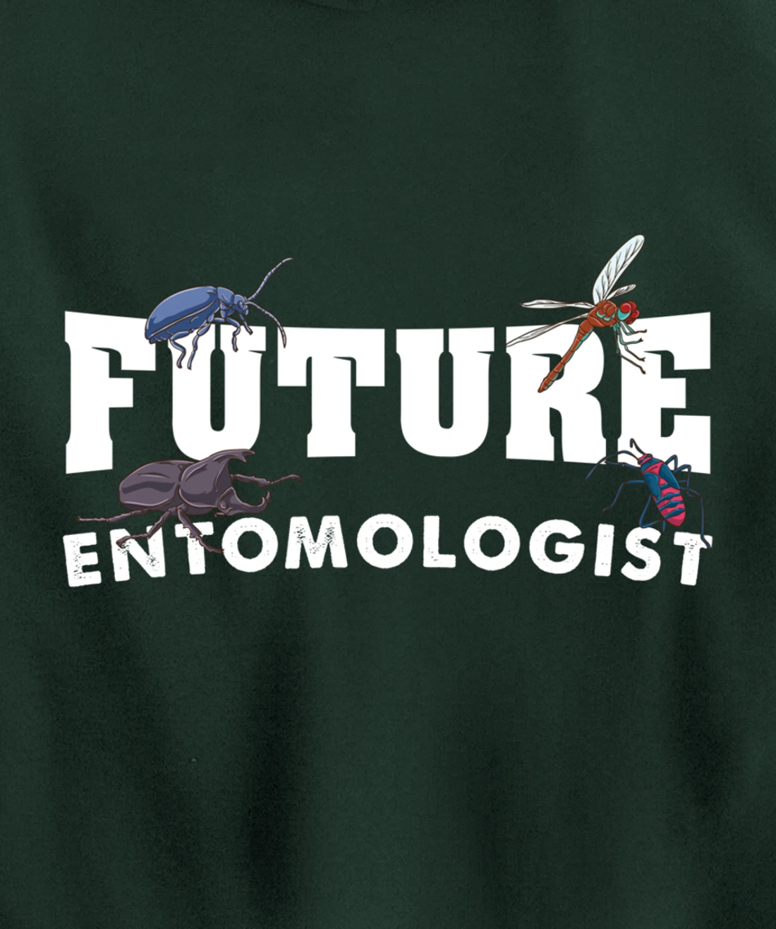 Future Entomologist Insect Lover Gift Pullover Hoodie
