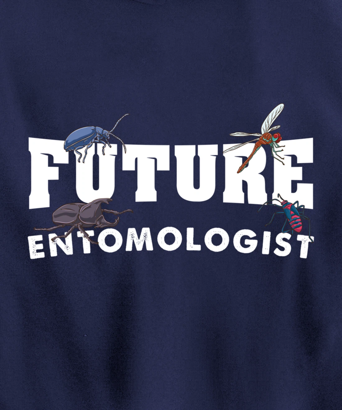 Future Entomologist Insect Lover Gift Pullover Hoodie