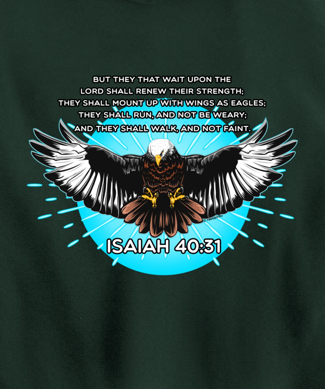 Christian Bible Verse Isaiah 40:31 Soaring Eagle Pullover Hoodie