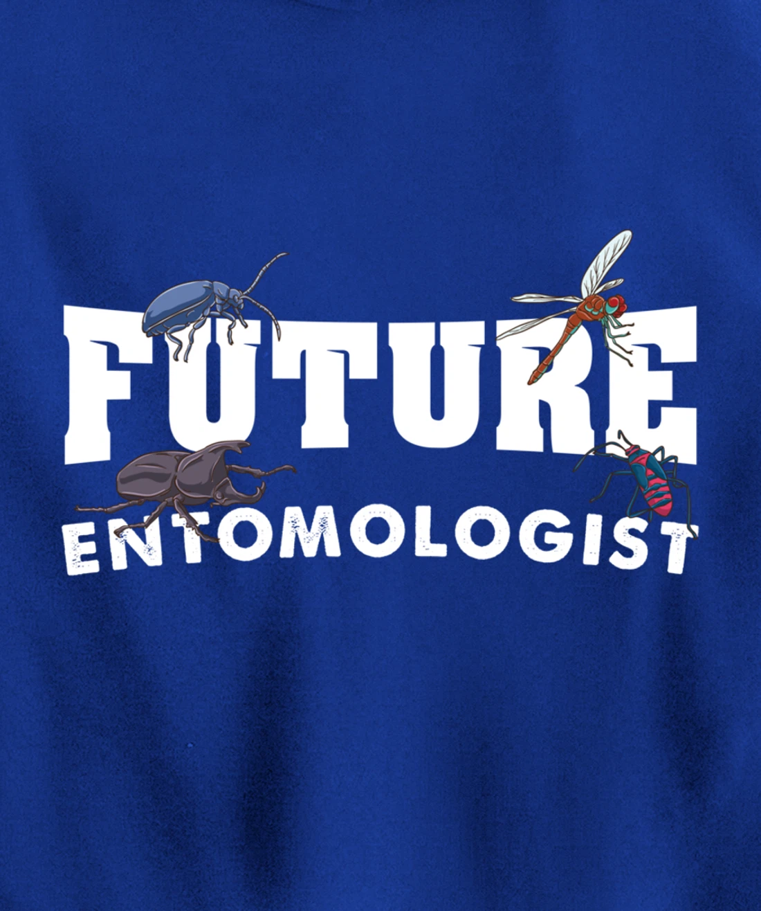 Future Entomologist Insect Lover Gift Pullover Hoodie