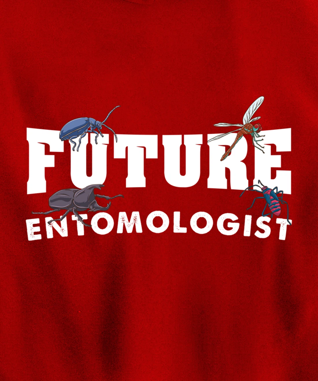 Future Entomologist Insect Lover Gift Pullover Hoodie