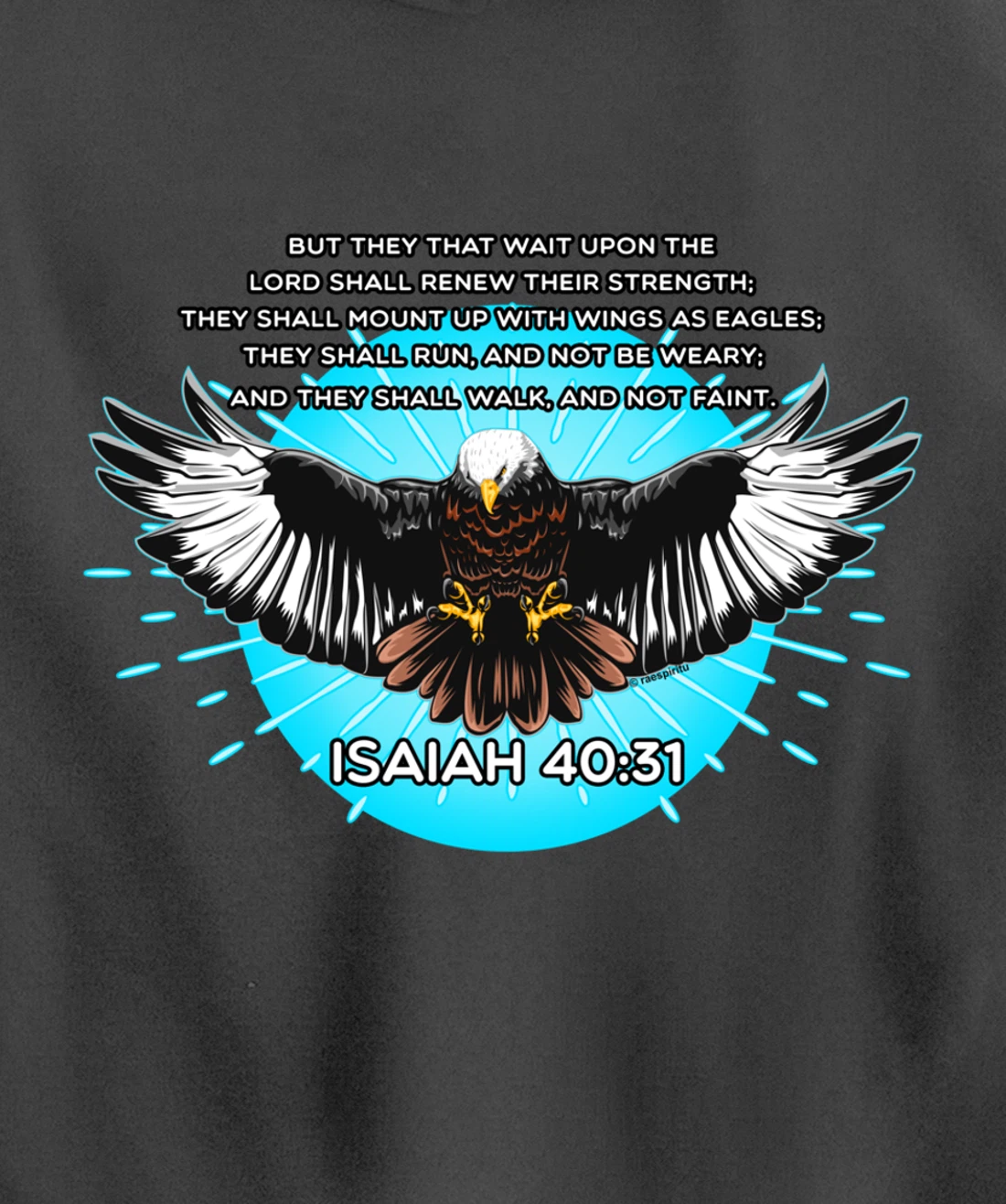 Christian Bible Verse Isaiah 40:31 Soaring Eagle Pullover Hoodie