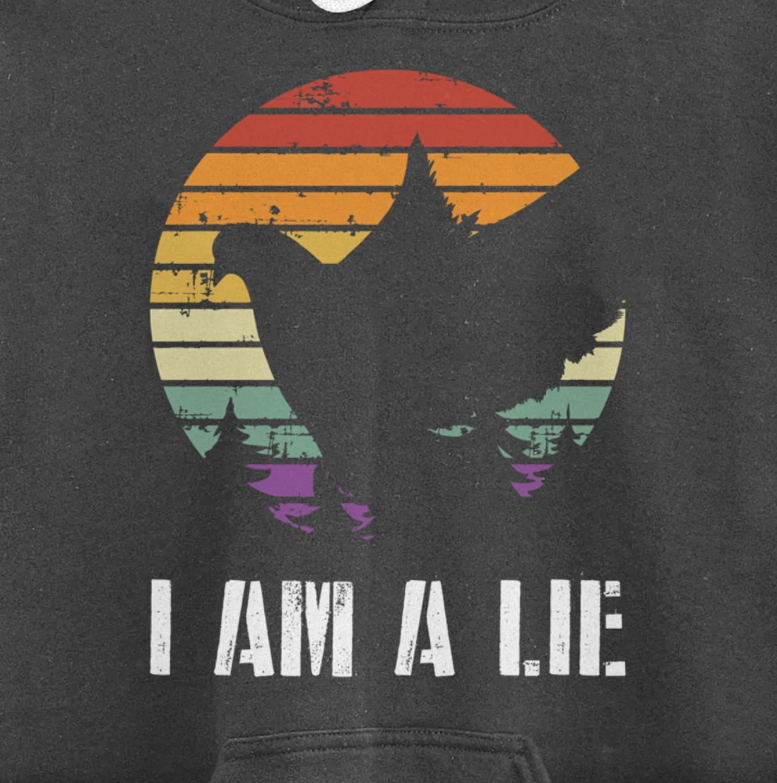 I Am A Lie Bird Aren't Real Spies Funny Bird Pullover Hoodie