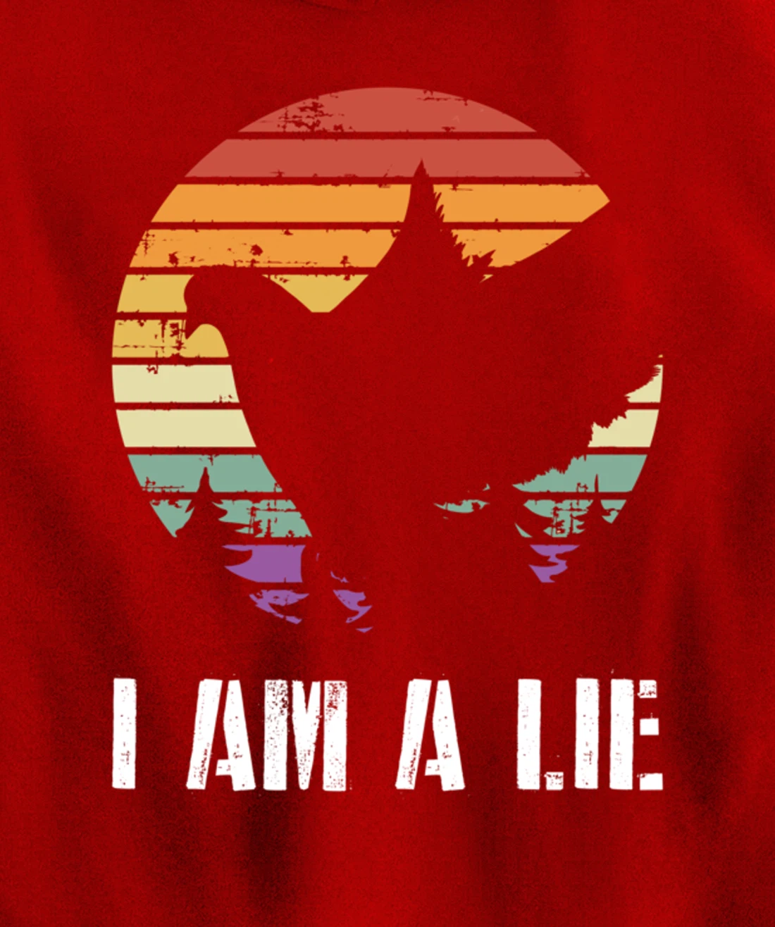 I Am A Lie Bird Aren't Real Spies Funny Bird Pullover Hoodie