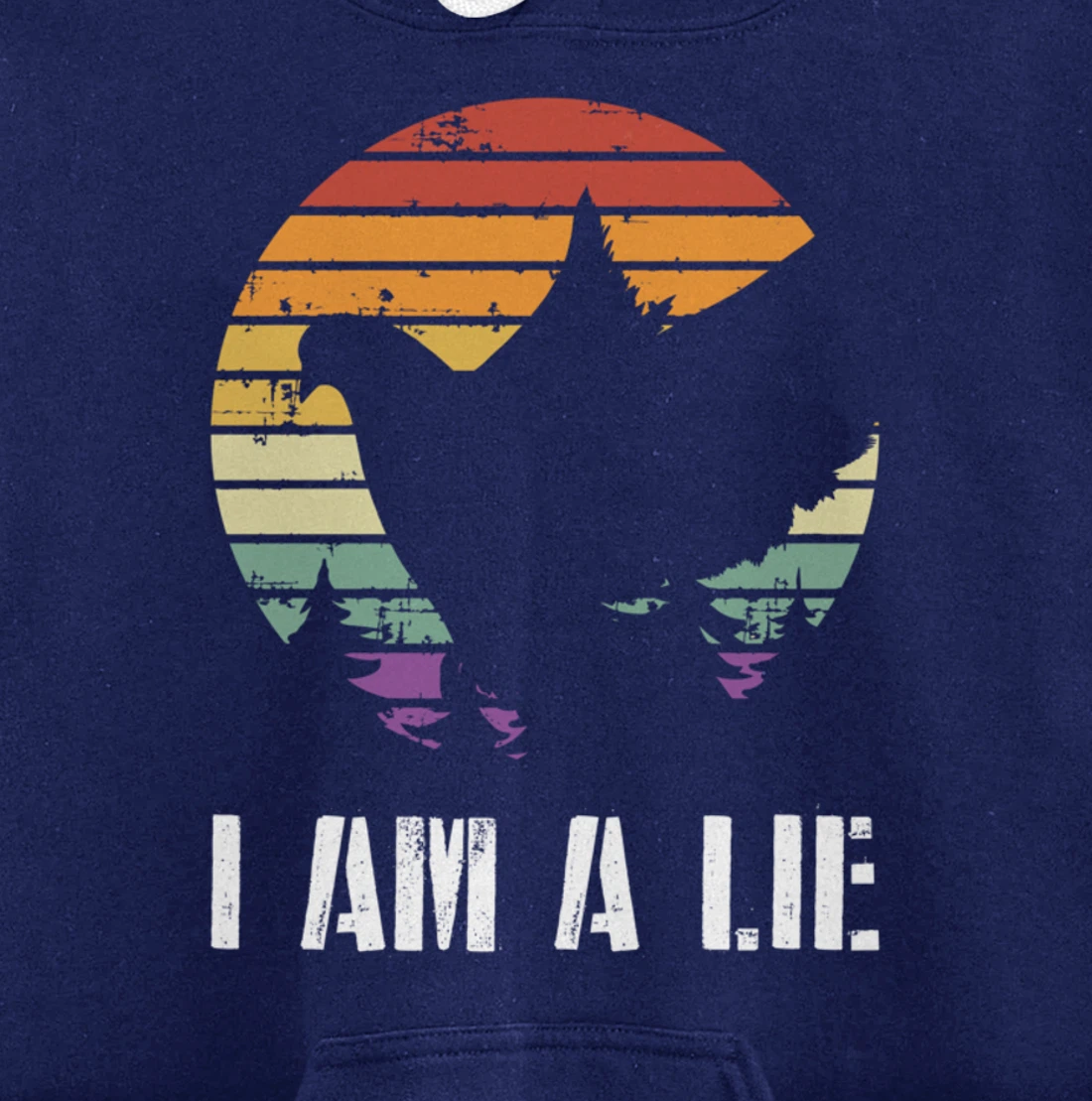 I Am A Lie Bird Aren't Real Spies Funny Bird Pullover Hoodie