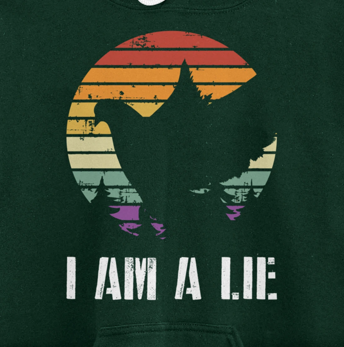 I Am A Lie Bird Aren't Real Spies Funny Bird Pullover Hoodie