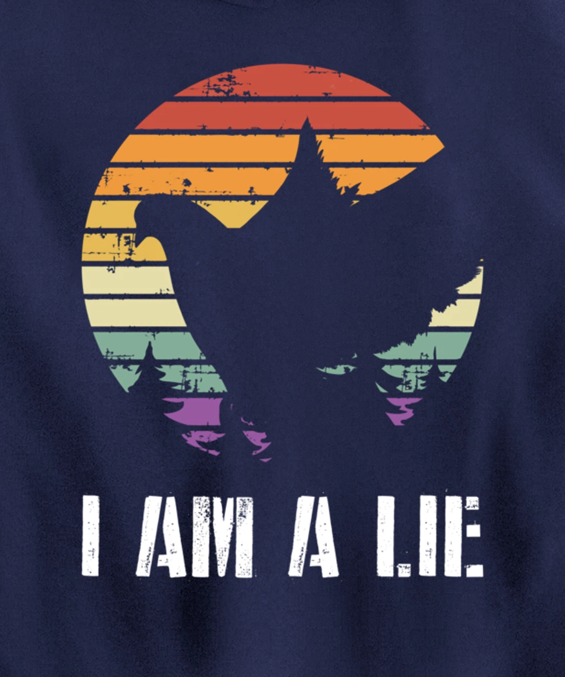 I Am A Lie Bird Aren't Real Spies Funny Bird Pullover Hoodie