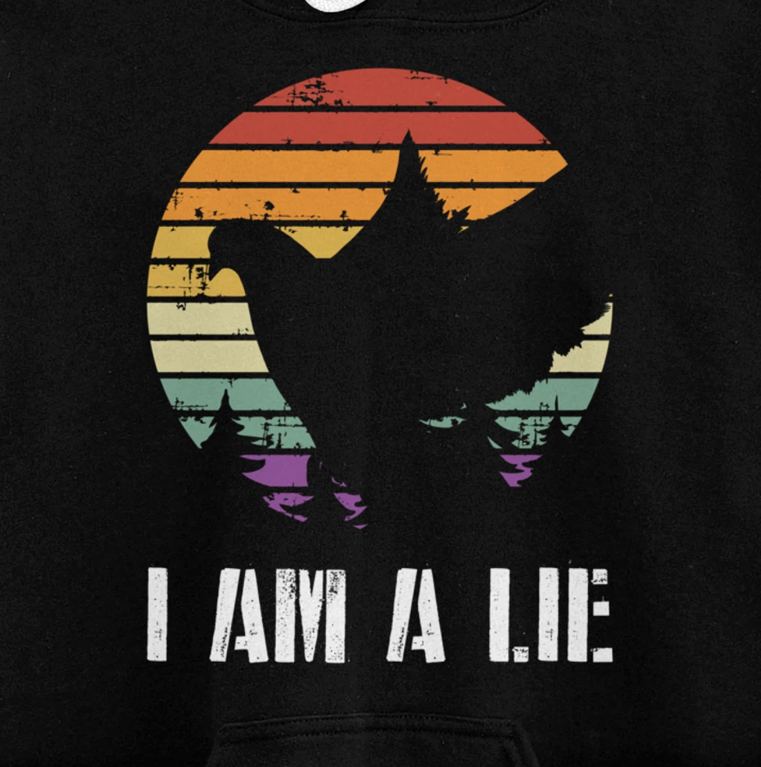 I Am A Lie Bird Aren't Real Spies Funny Bird Pullover Hoodie