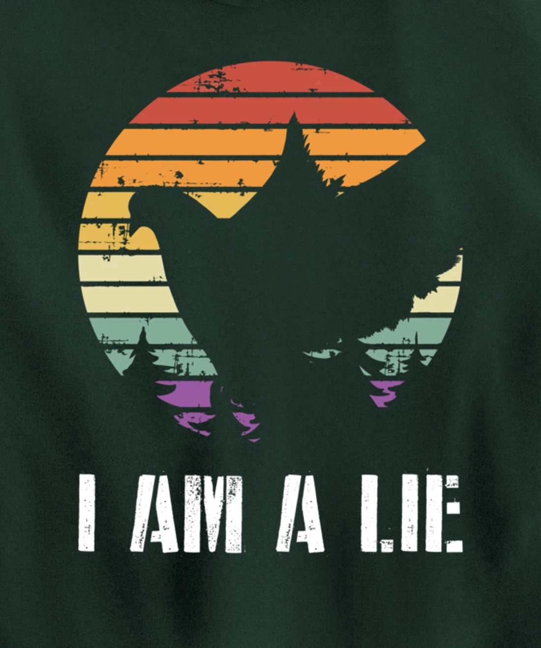 I Am A Lie Bird Aren't Real Spies Funny Bird Pullover Hoodie