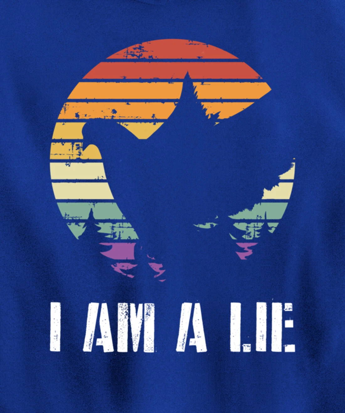 I Am A Lie Bird Aren't Real Spies Funny Bird Pullover Hoodie