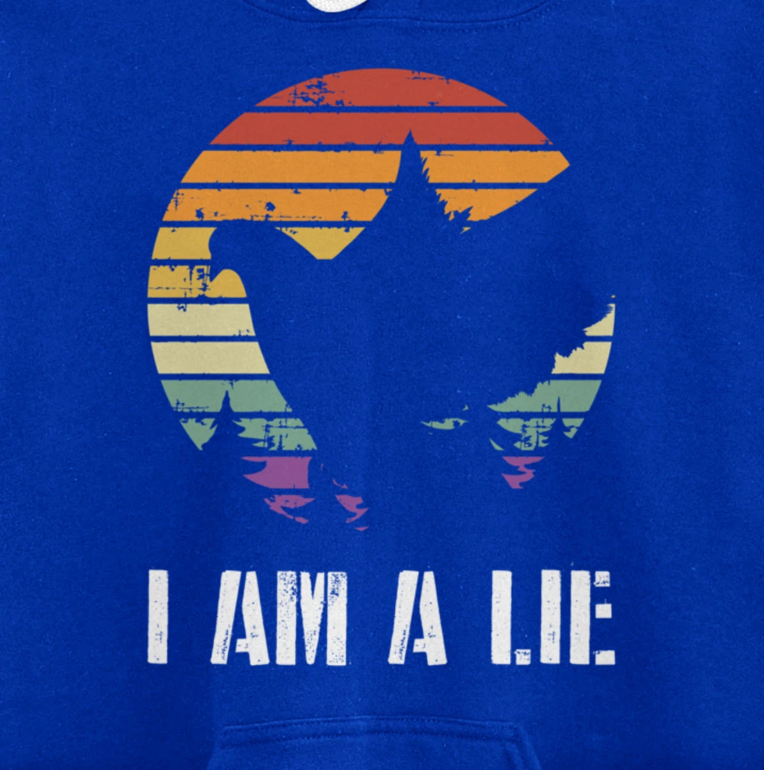 I Am A Lie Bird Aren't Real Spies Funny Bird Pullover Hoodie