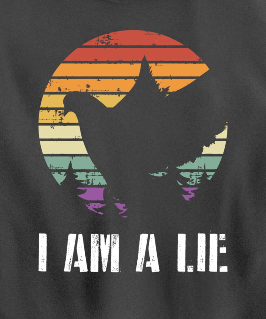 I Am A Lie Bird Aren't Real Spies Funny Bird Pullover Hoodie